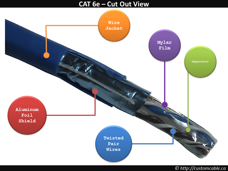 CAT6 Section View